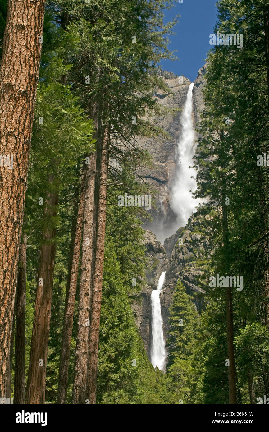 Californie - Yosemite Falls supérieure et inférieure dans le Parc National Yosemite. Banque D'Images