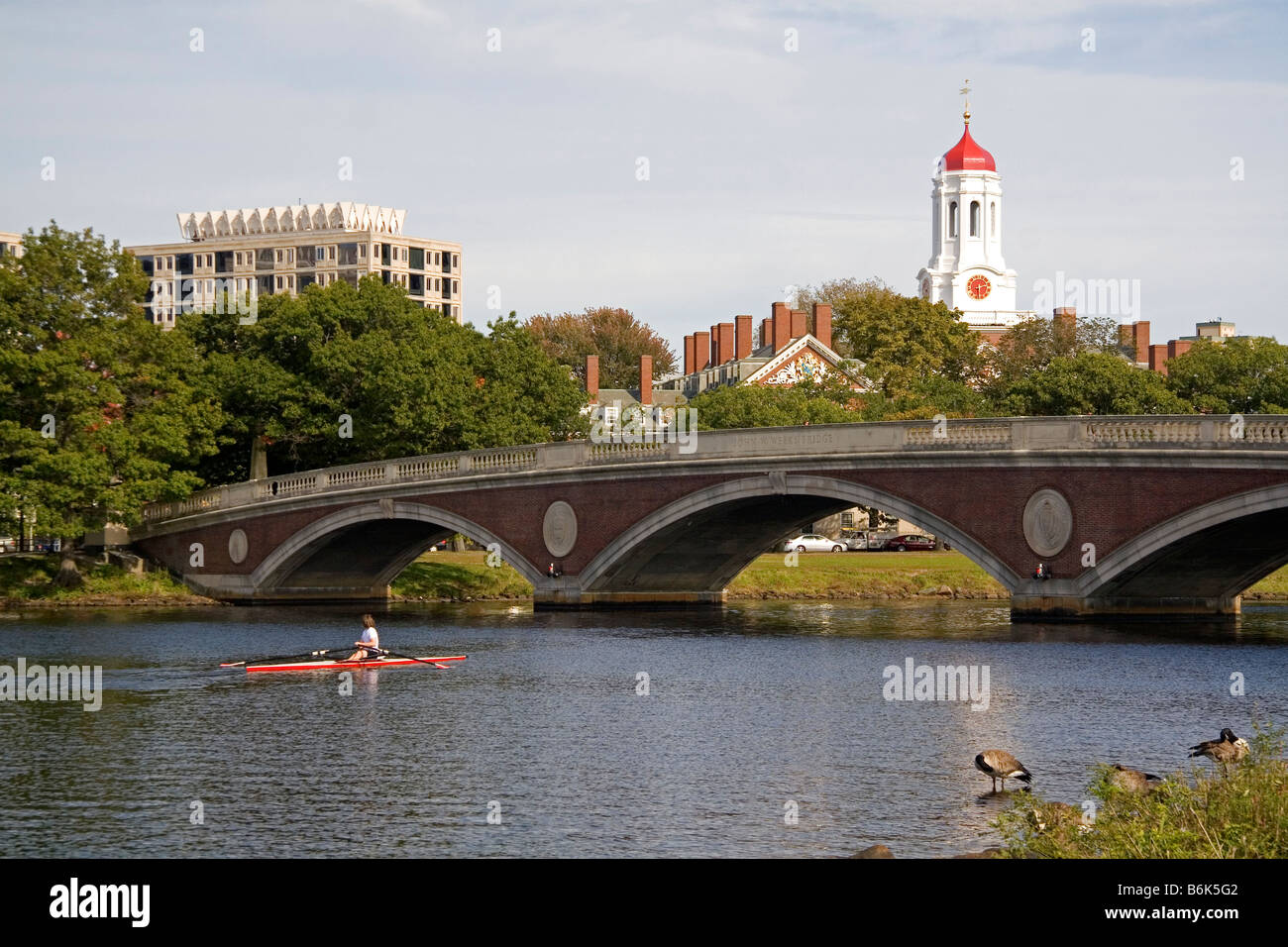 De l'aviron sur la Charles River et les bâtiments de l'Université de Harvard à Cambridge, Massachusetts États-Unis Boston Banque D'Images