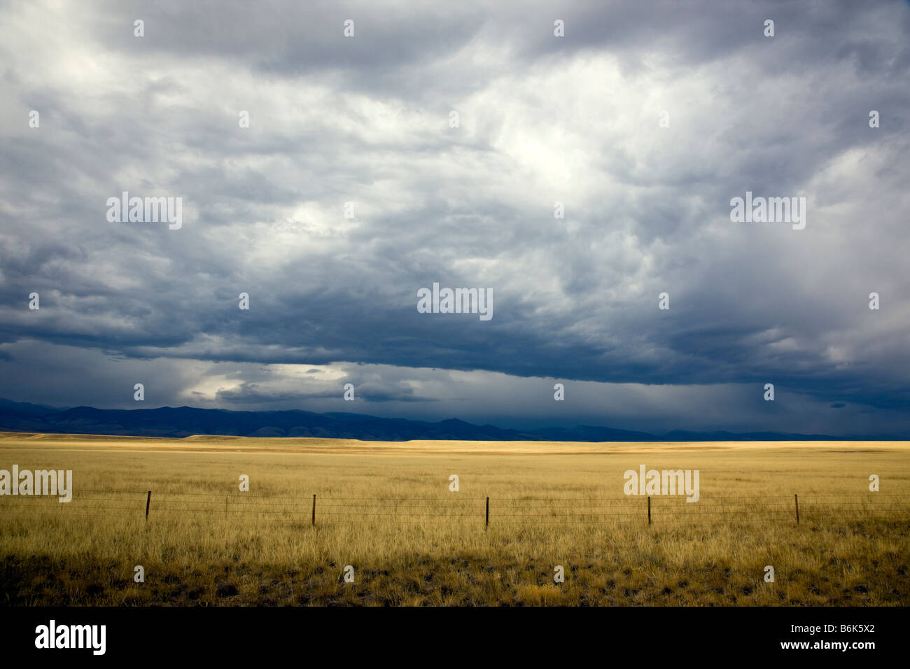 Ranchlands ouest de Rt. 287 vers la forêt nationale de Shoshone Banque D'Images