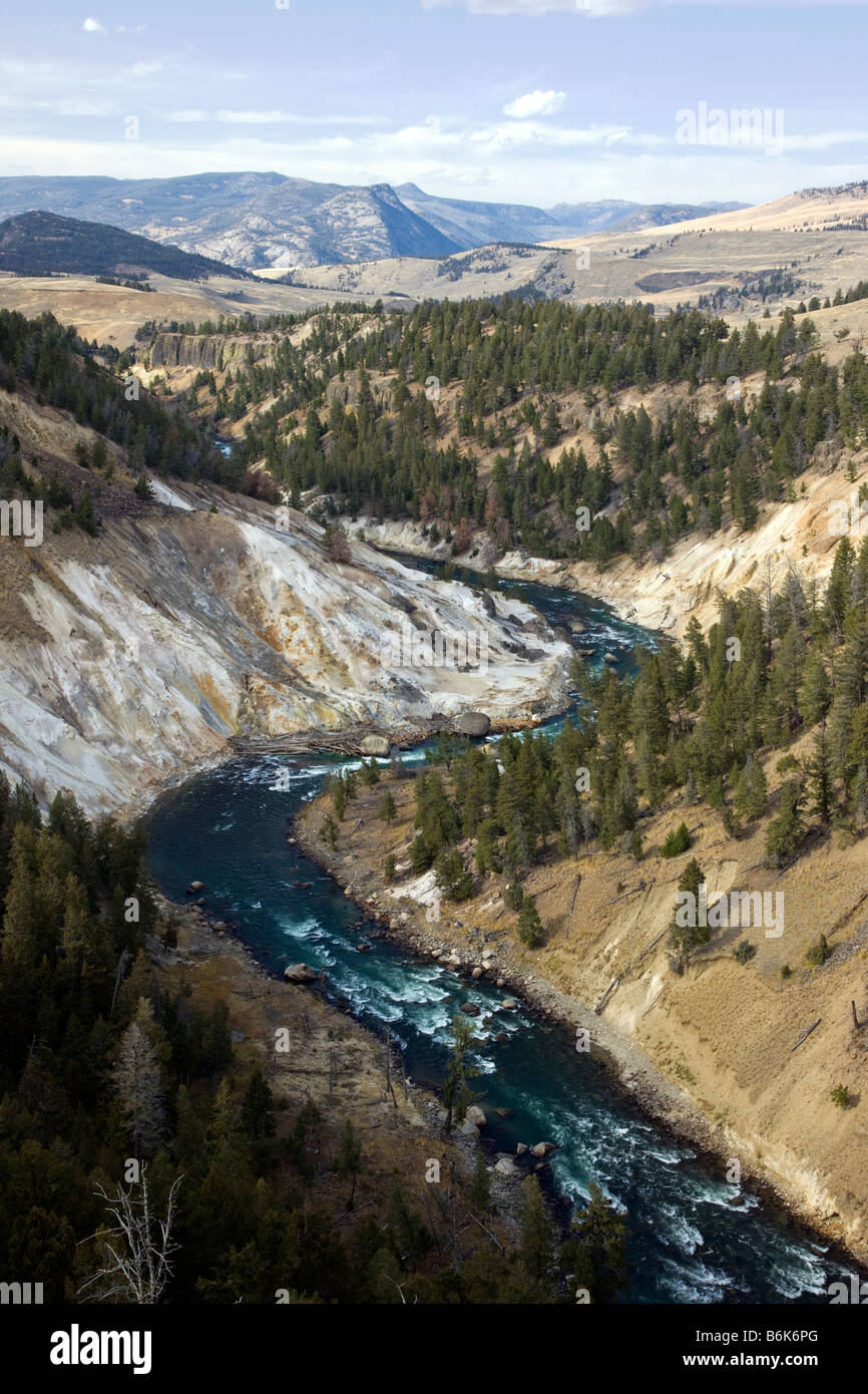Grand Canyon de la Yellowstone canyon coupé par la rivière Yellowstone Parc National de Yellowstone, Wyoming, USA Banque D'Images