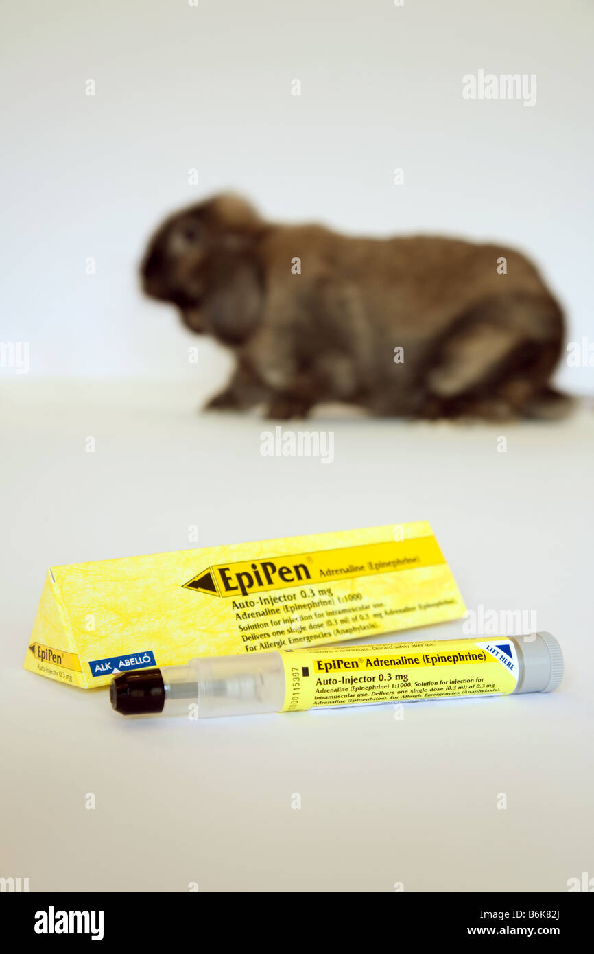 Epipen et lapin illustrant allergie aux animaux domestiques, uk Banque D'Images