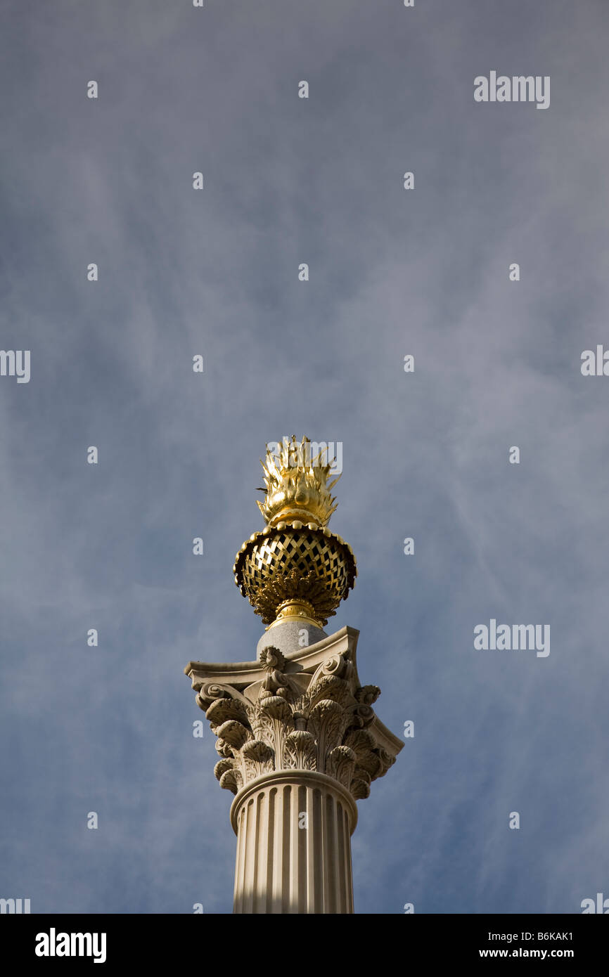 Le haut de la colonne de la place Paternoster, Londres, Angleterre. Banque D'Images