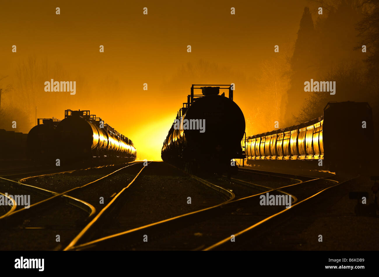 Voitures de train dans la nuit Brouillard Banque D'Images