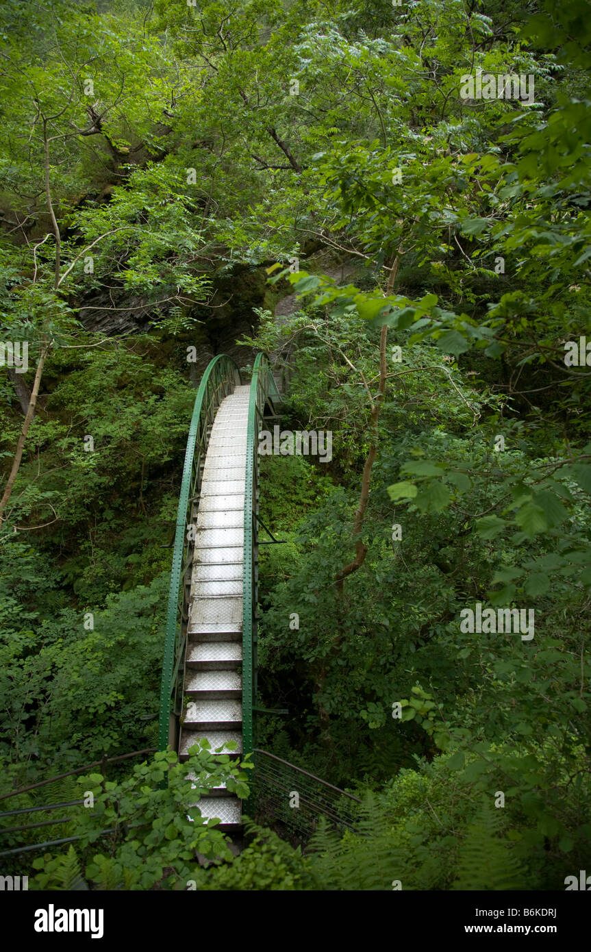 Vale de Reheidol Light Railway Il ponte Devils Bridge Galles Banque D'Images