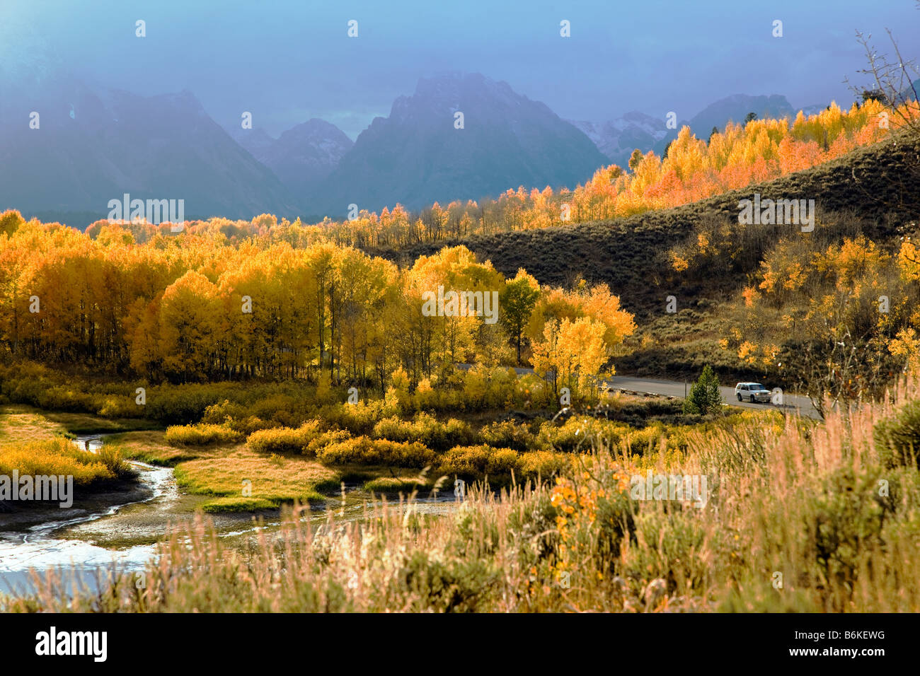 Teton Mountains et trembles golden en automne, vue d'Oxbow Bend, Snake River, Grand Teton National Park, Wyoming, USA Banque D'Images