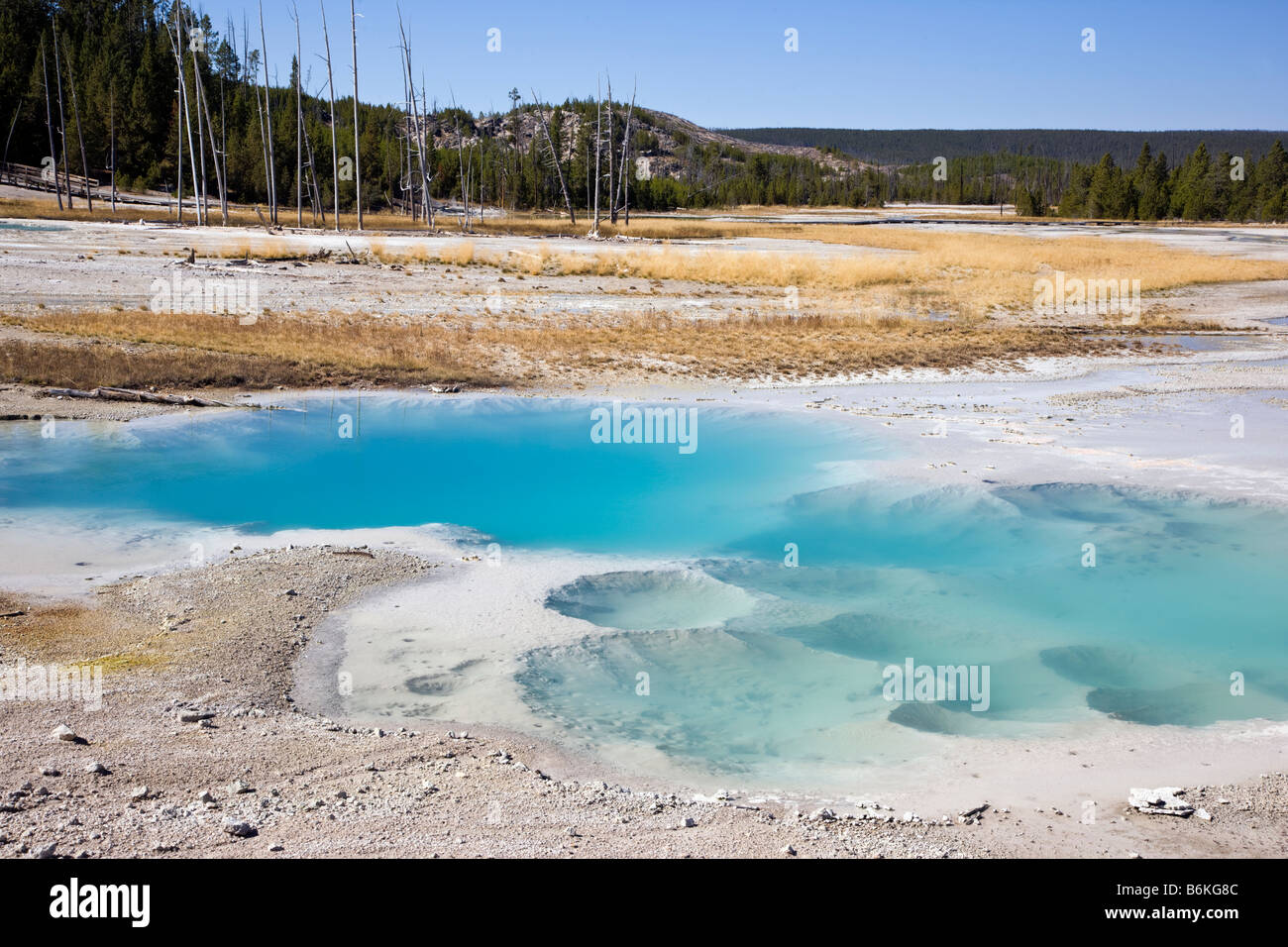 Ressorts de porcelaine, Norris Geyser Basin, Parc National de Yellowstone, Wyoming, USA ; Banque D'Images