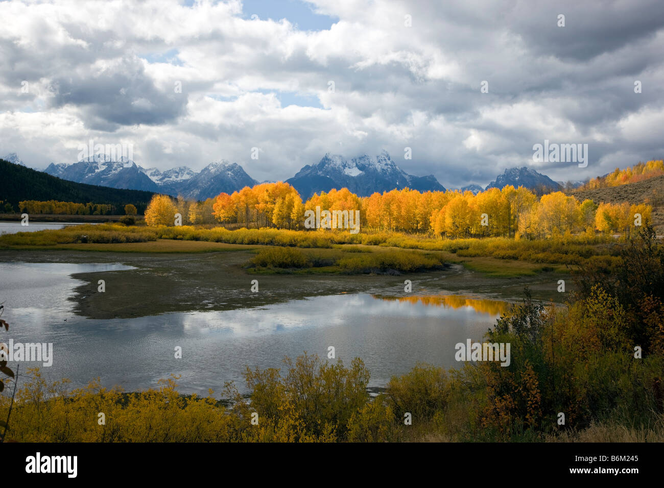 Teton Mountains tremble et de couleur dorée, Snake River, vu de l'Oxbow Bend, Grand Teton National Park, Wyoming, USA Banque D'Images