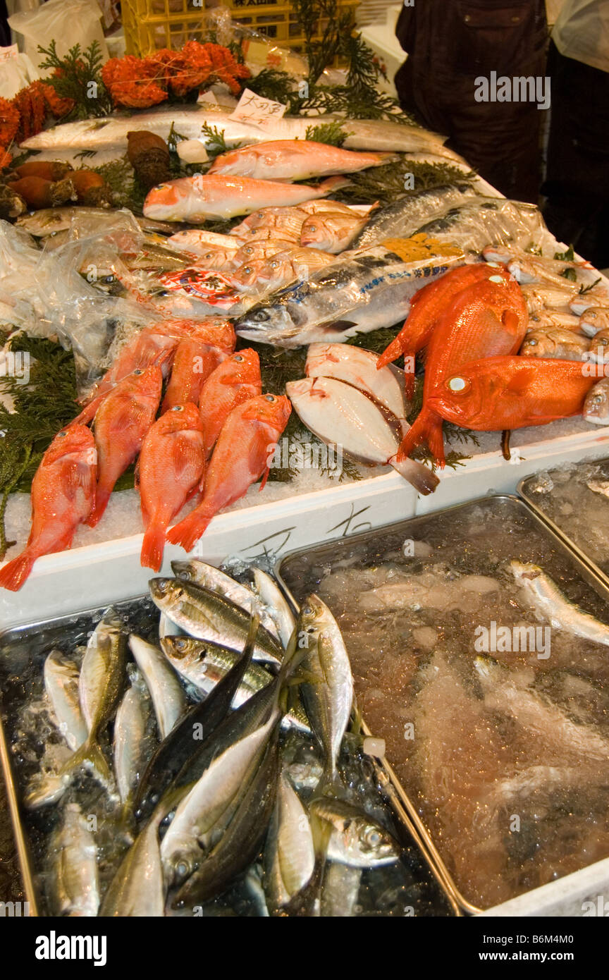 Le vivaneau shijo Tsukiji fish market Tokyo Japon fruits de mer Banque D'Images