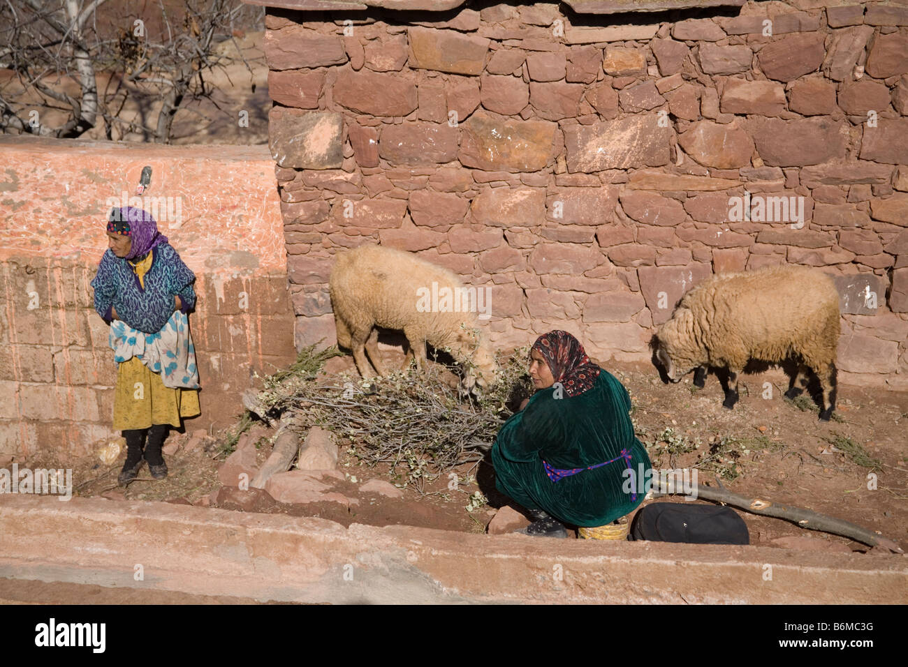 Sidi Faress Village Maroc Afrique du Nord décembre deux femmes du village regardant feeding sheep en face d'une maison berbère Banque D'Images