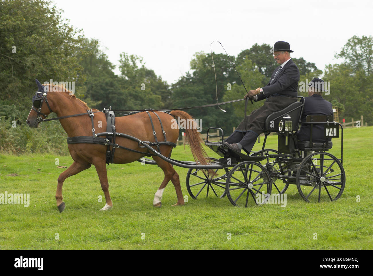 Un concurrent à un essai de conduite à cheval - Borde Hill, West Sussex. Banque D'Images