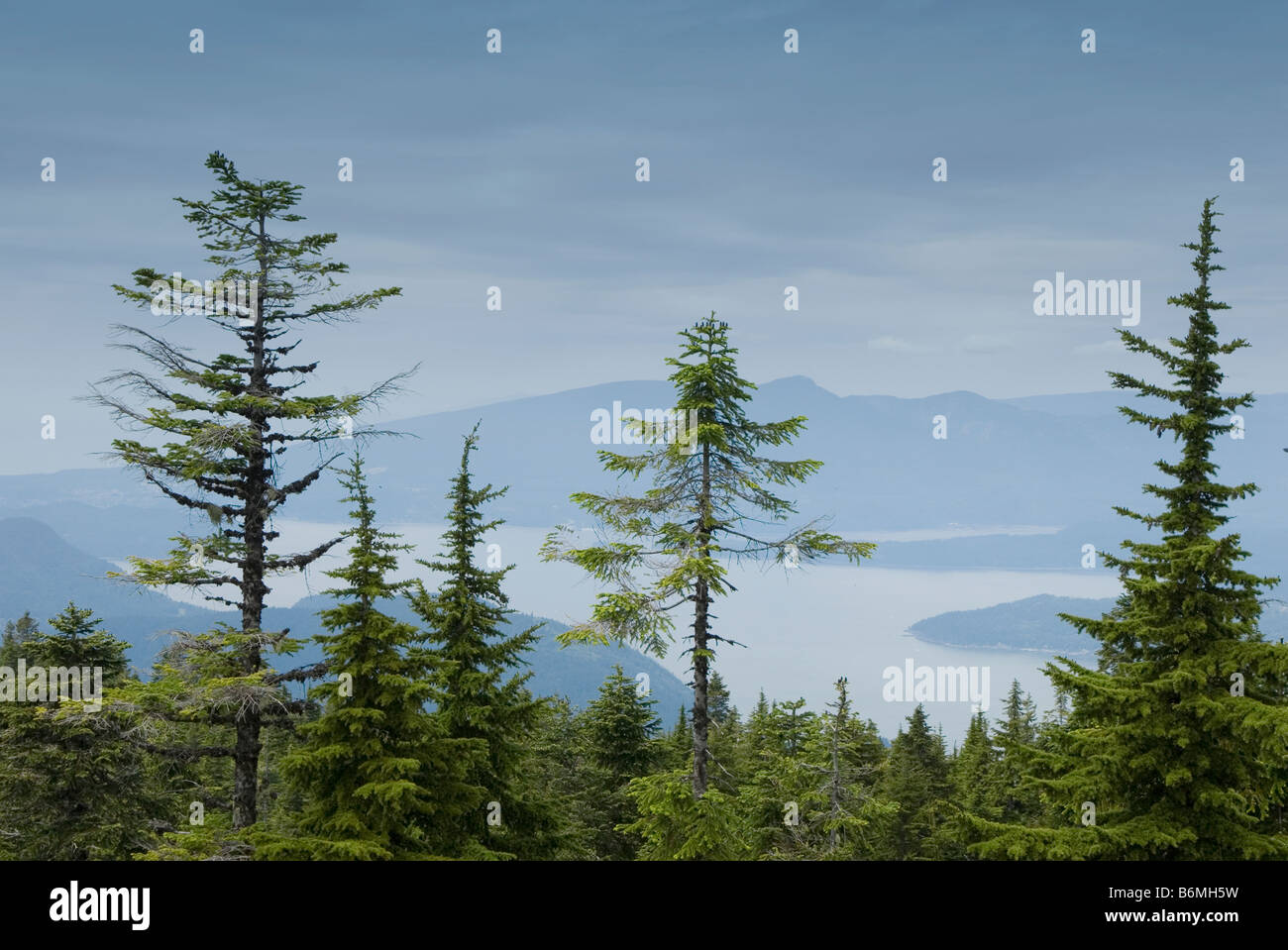 Belvédère d'îles, de West Vancouver Banque D'Images