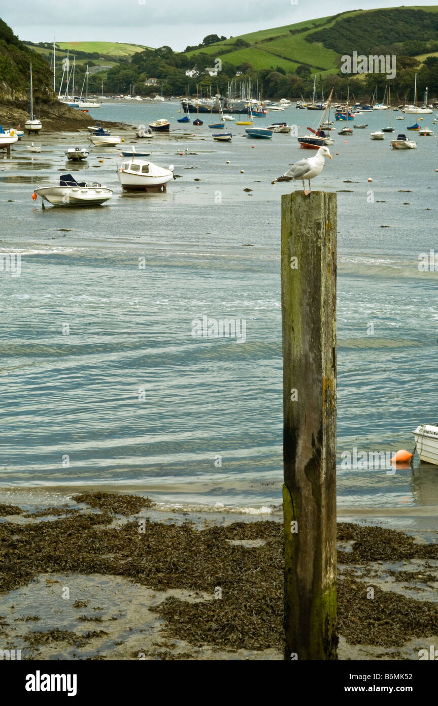 Sal River Creek à Salcombe dans le sud du Devon Banque D'Images