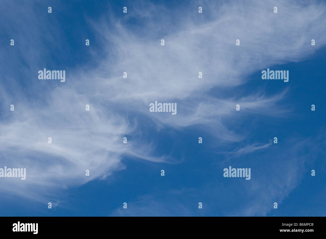 Les cirrus de haute altitude contre un ciel bleu Banque D'Images