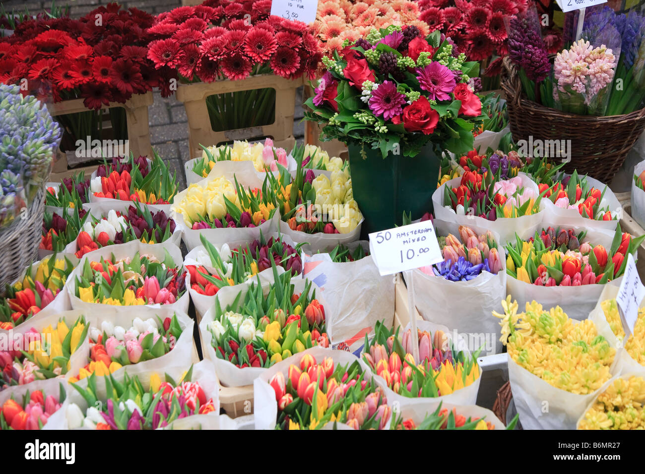 Marché aux Fleurs de Moriaan tulipes Canal Singel Amsterdam Pays-Bas Banque D'Images