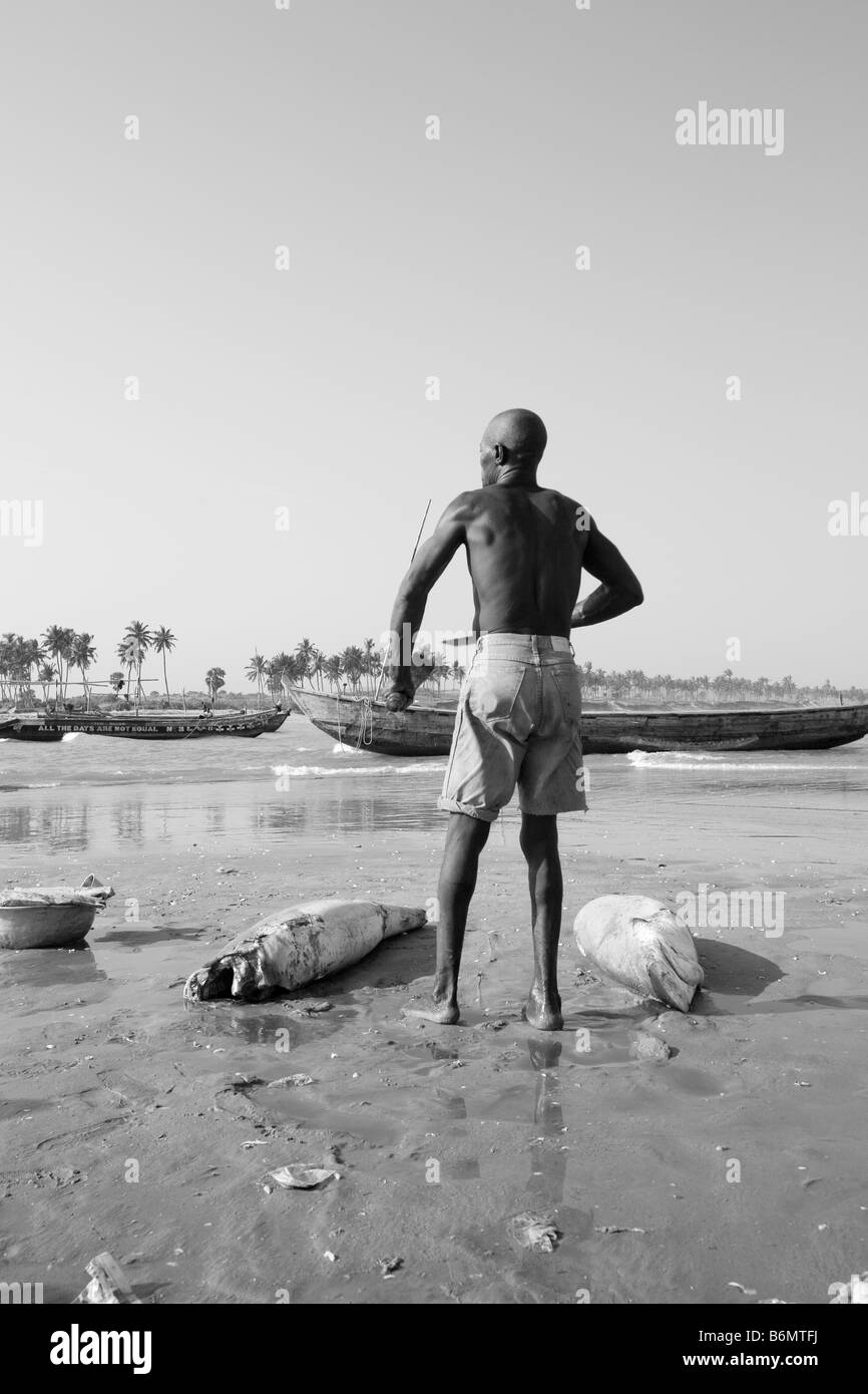 Le Ghana, côte ouest, village de pêcheurs. Le dépeçage de requins. Banque D'Images