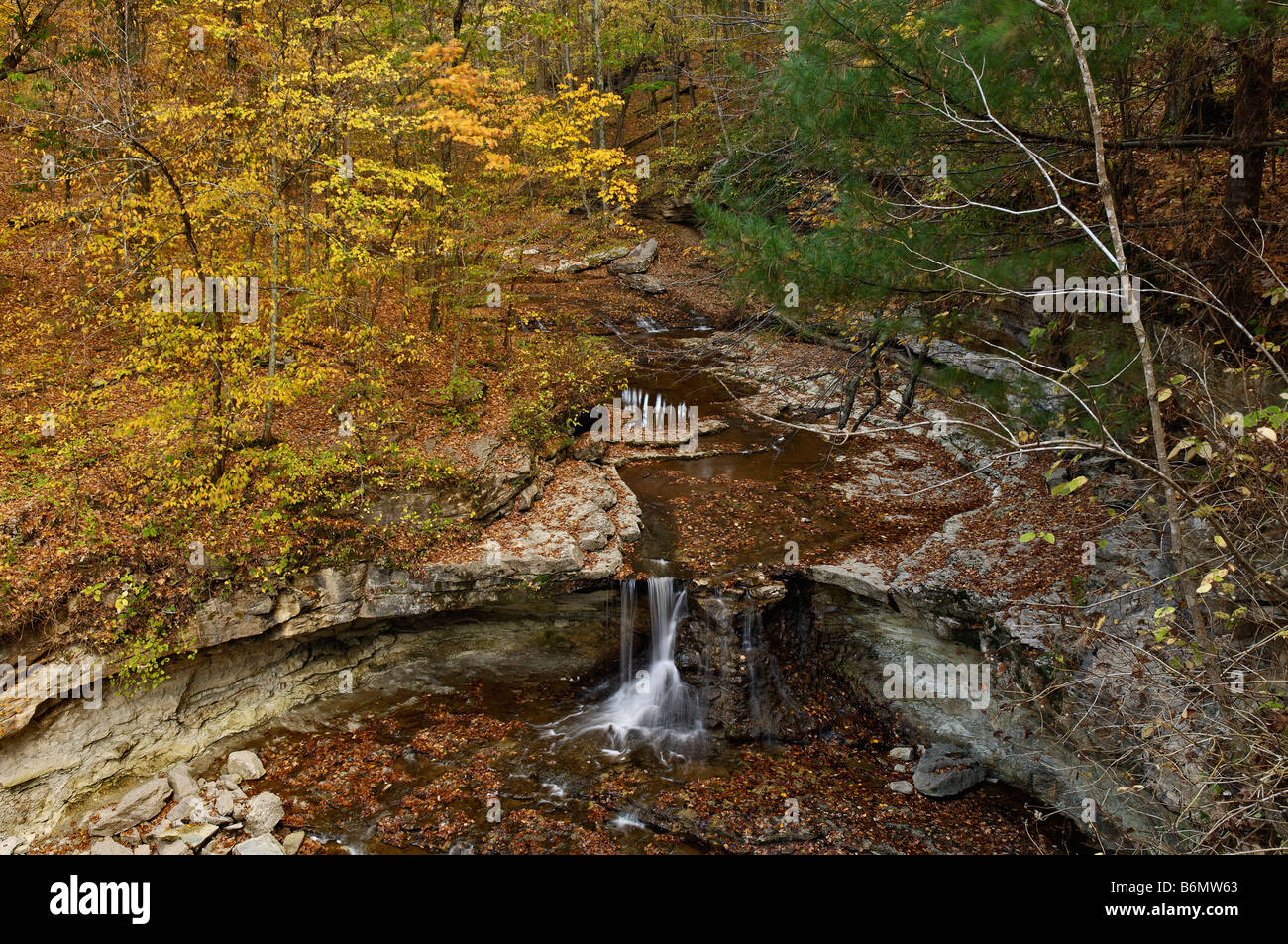 Automne couleur entourant chute McCormick s Creek dans la région de McCormick s Creek State Park Indiana Banque D'Images