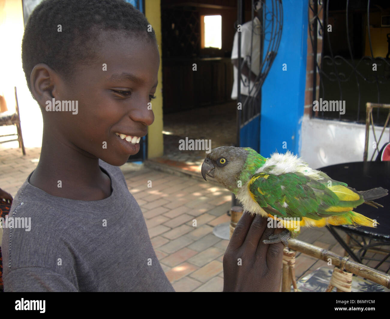 Garçon avec le Sénégal parrot Banque D'Images