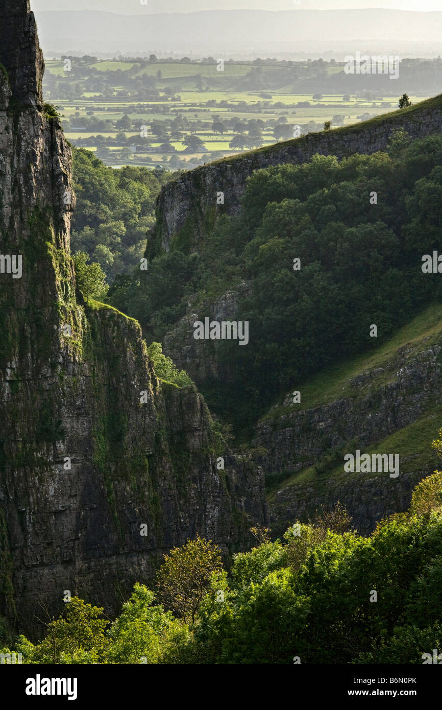 Les gorges de Cheddar, Somerset, England, UK Banque D'Images