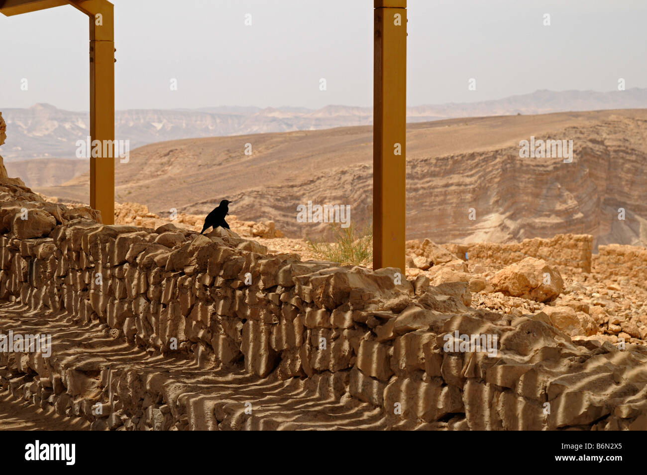Oiseau Noir assis sur le site Masada National Park,mur,Israël,Asia Banque D'Images