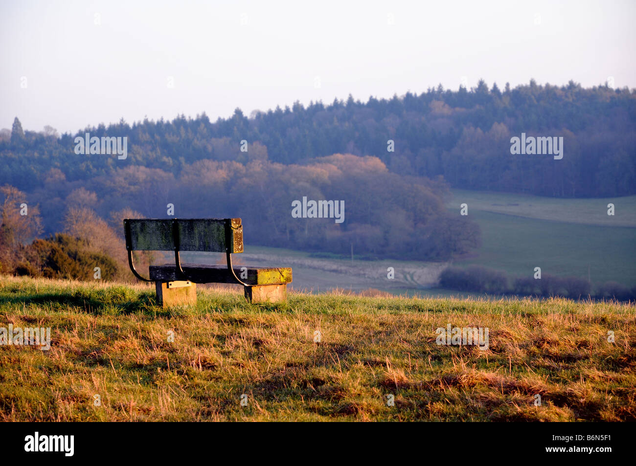 Un banc regarde l'avis de la Surrey Downs sur une après-midi d'hiver à Guildford, Surrey. Banque D'Images