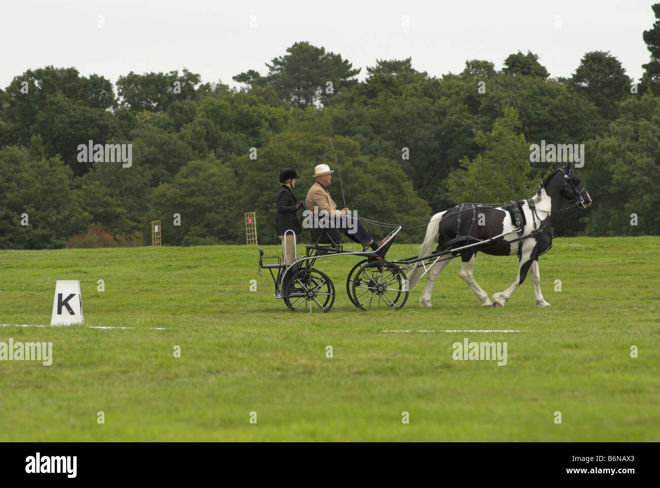 Un concurrent à un essai de conduite à cheval - Borde Hill, West Sussex. Banque D'Images