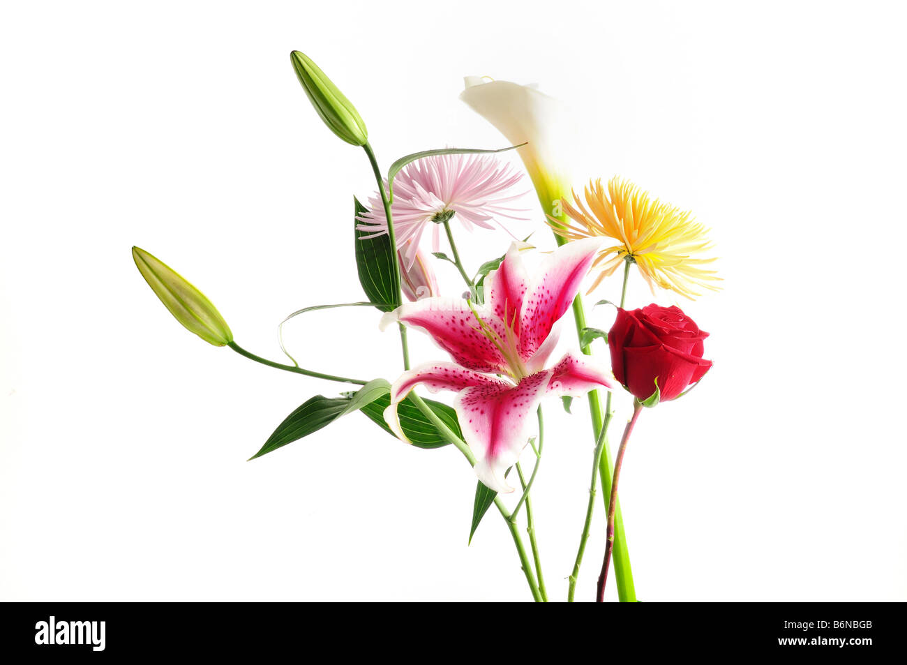 Détail de l'arrangement de fleurs du printemps avec un assortiment de fleurs isolées Banque D'Images