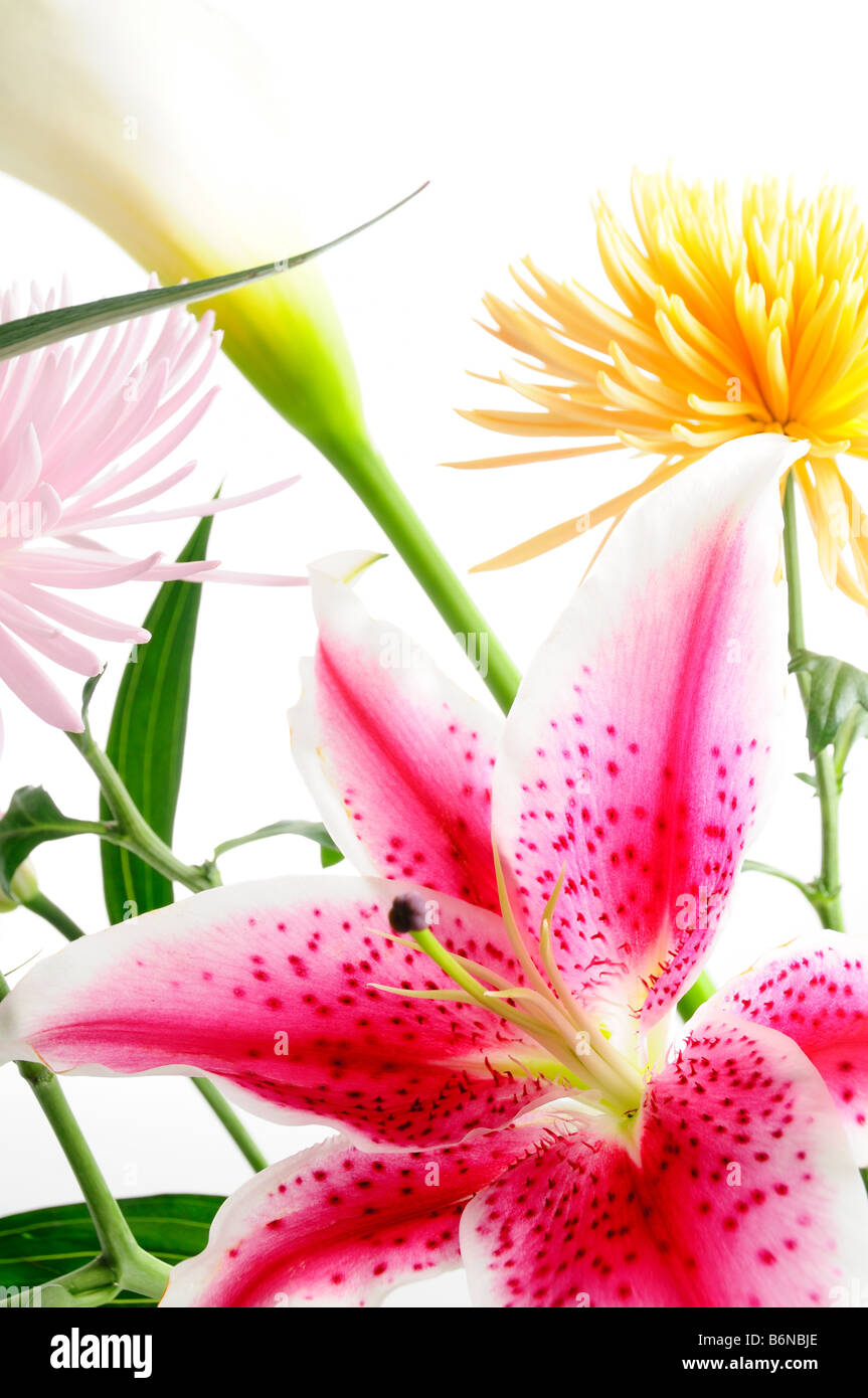 Détail de l'arrangement de fleurs du printemps avec un assortiment de fleurs isolées Banque D'Images