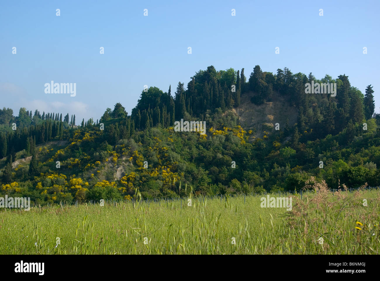 Paysage de Toscane, Italie, Europe Banque D'Images