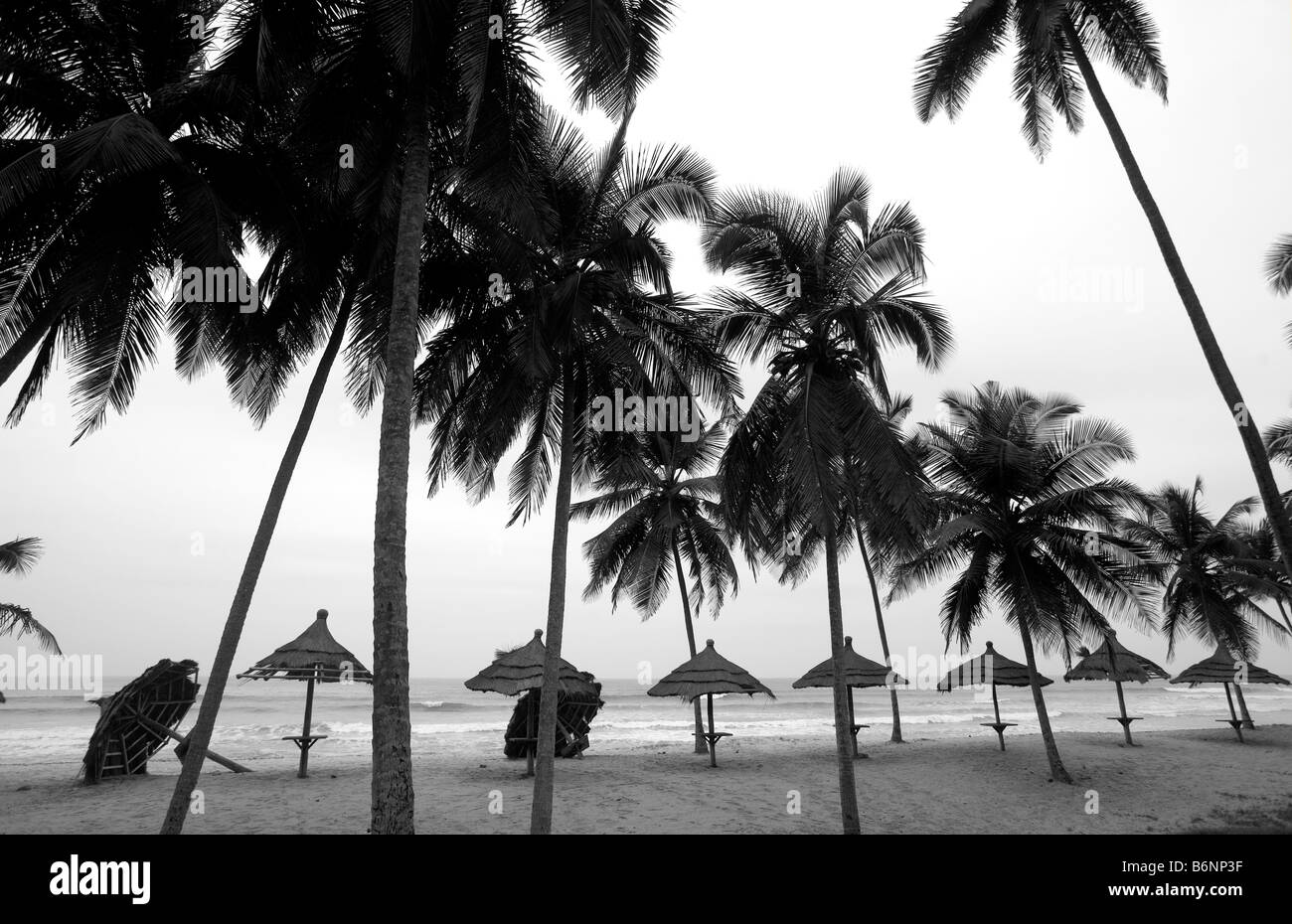 Le Ghana, Côte Ouest. La plage de sable blanc, les cocotiers. Banque D'Images