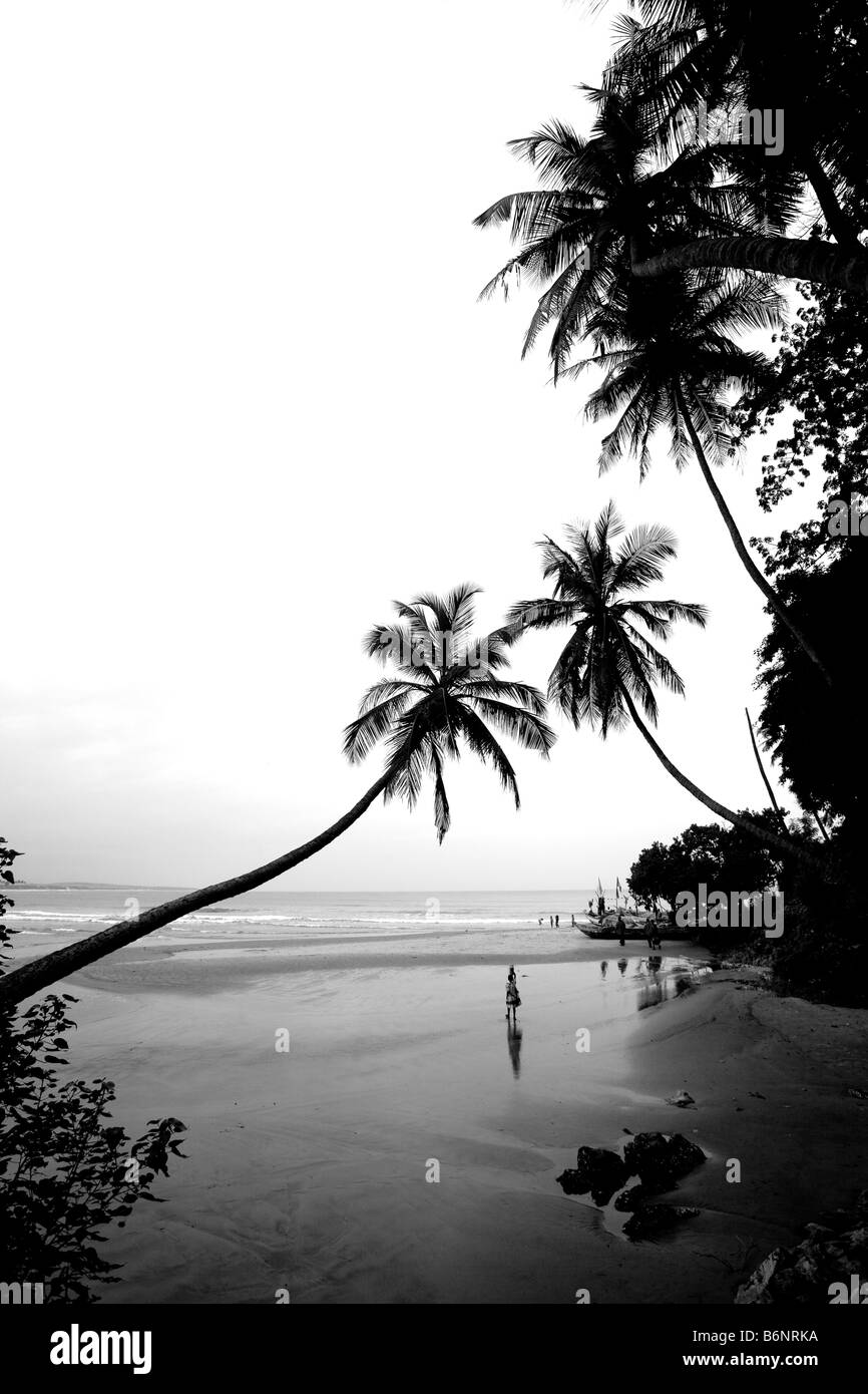 Le Ghana, côte ouest. Des cocotiers, Fete village. Banque D'Images