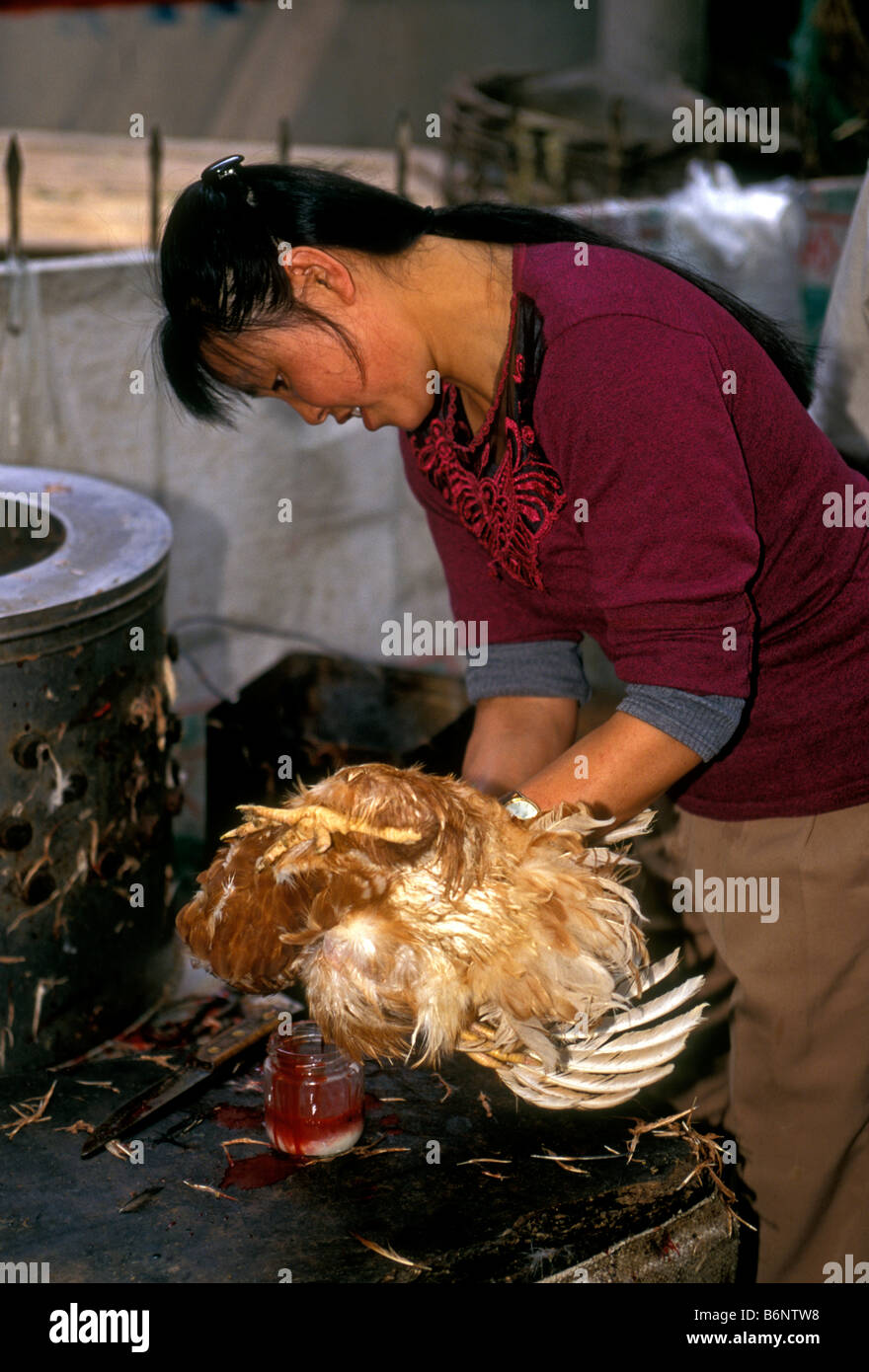 1, l'un, femme chinoise, poulet, poulet, poulet vente drainant le sang, sang de poulet, marché en plein air, marché 1A Longxiang Road, Beijing, Chine Banque D'Images
