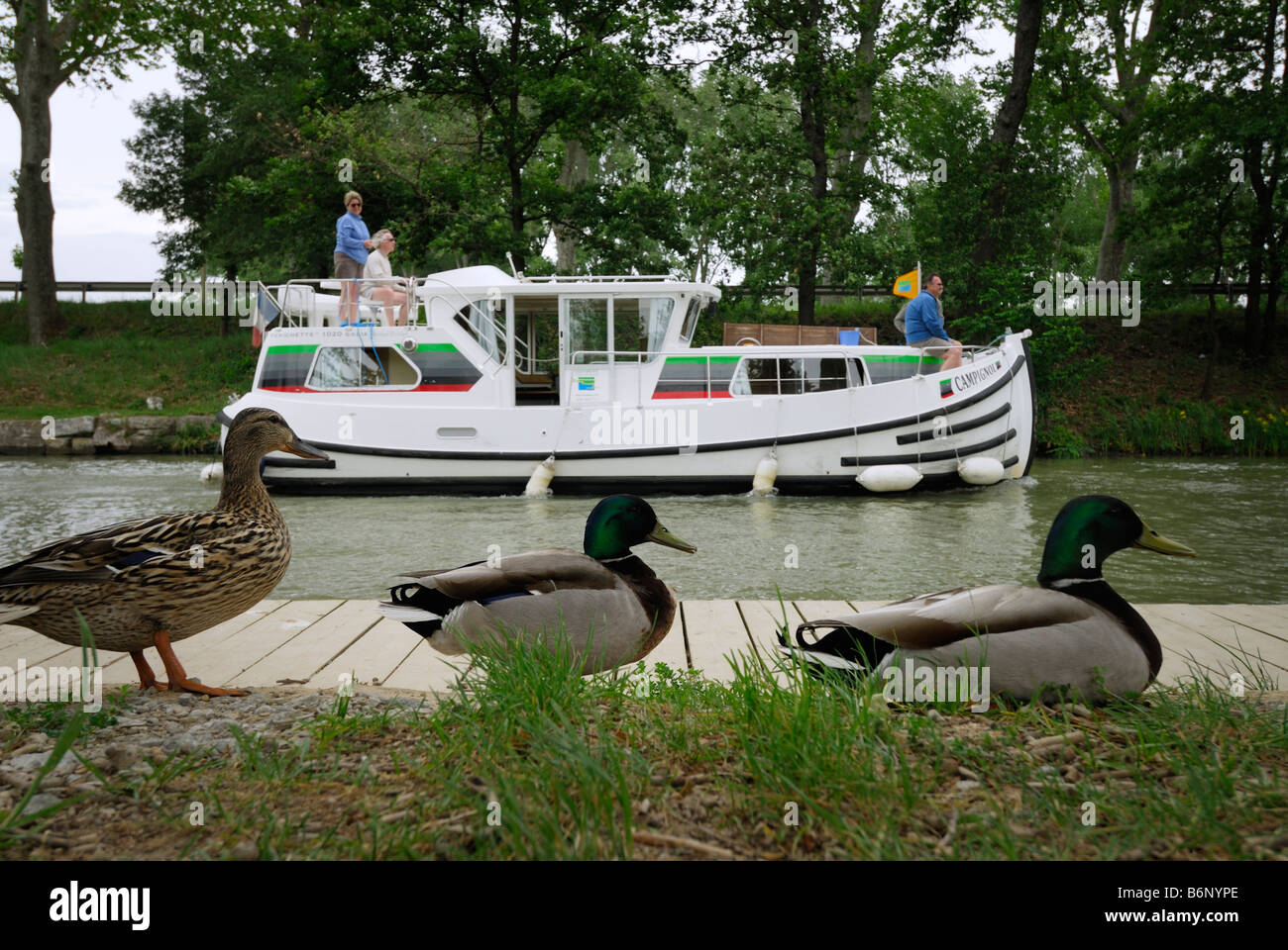 Carcassonne France Barge motors par à un rythme tranquille sur le Canal du Midi juste à l'extérieur de Carcassonne Banque D'Images