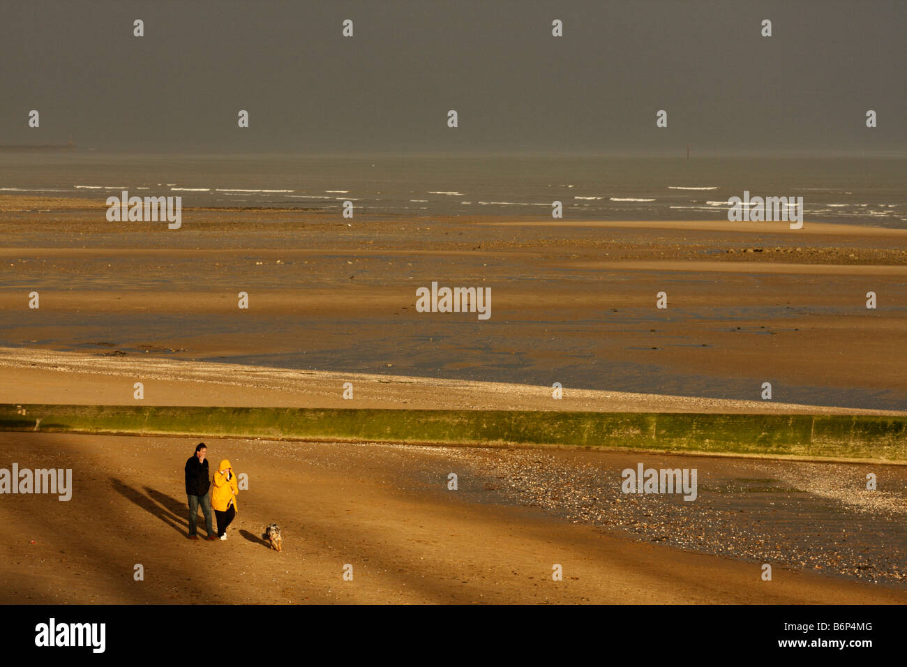 Deux personnes et un chien à marcher le long de la plage de Swansea au soleil avec un ciel d'orage, West Glamorgan, Pays de Galles, Royaume-Uni Banque D'Images