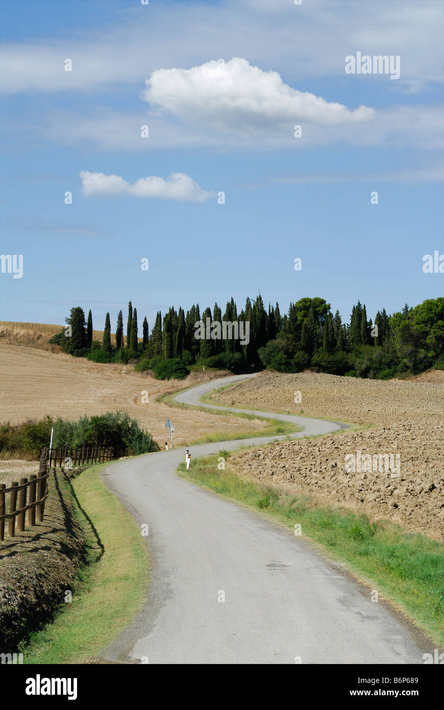 Bibbona Toscane Italie Winding country lane à l'extérieur de Bibbona Banque D'Images