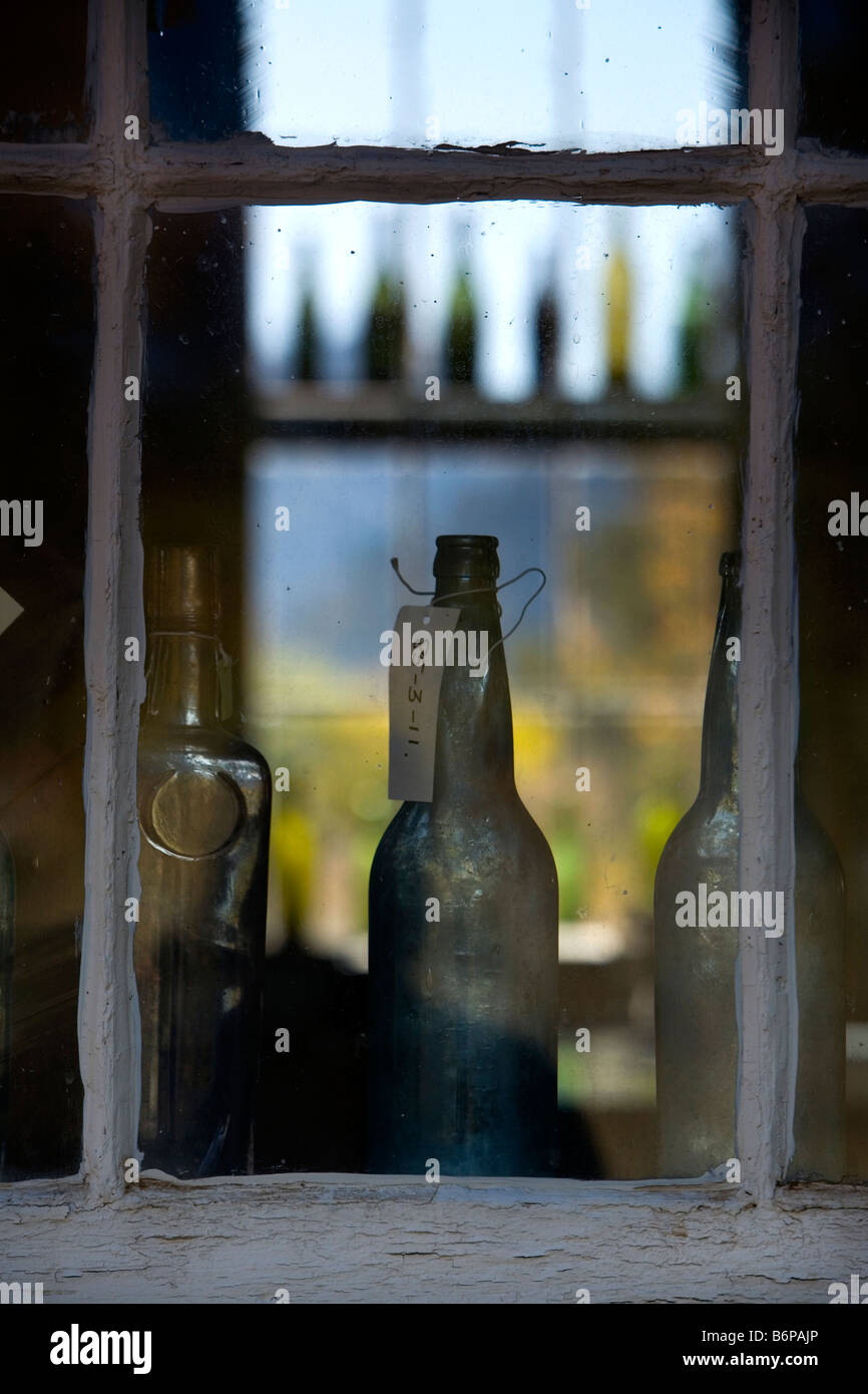 Celebrations Custer Delaware automne bouteilles fenêtre Ghost Town Pays des Yankee Fork State Park bouteilles antiques de couleur Banque D'Images