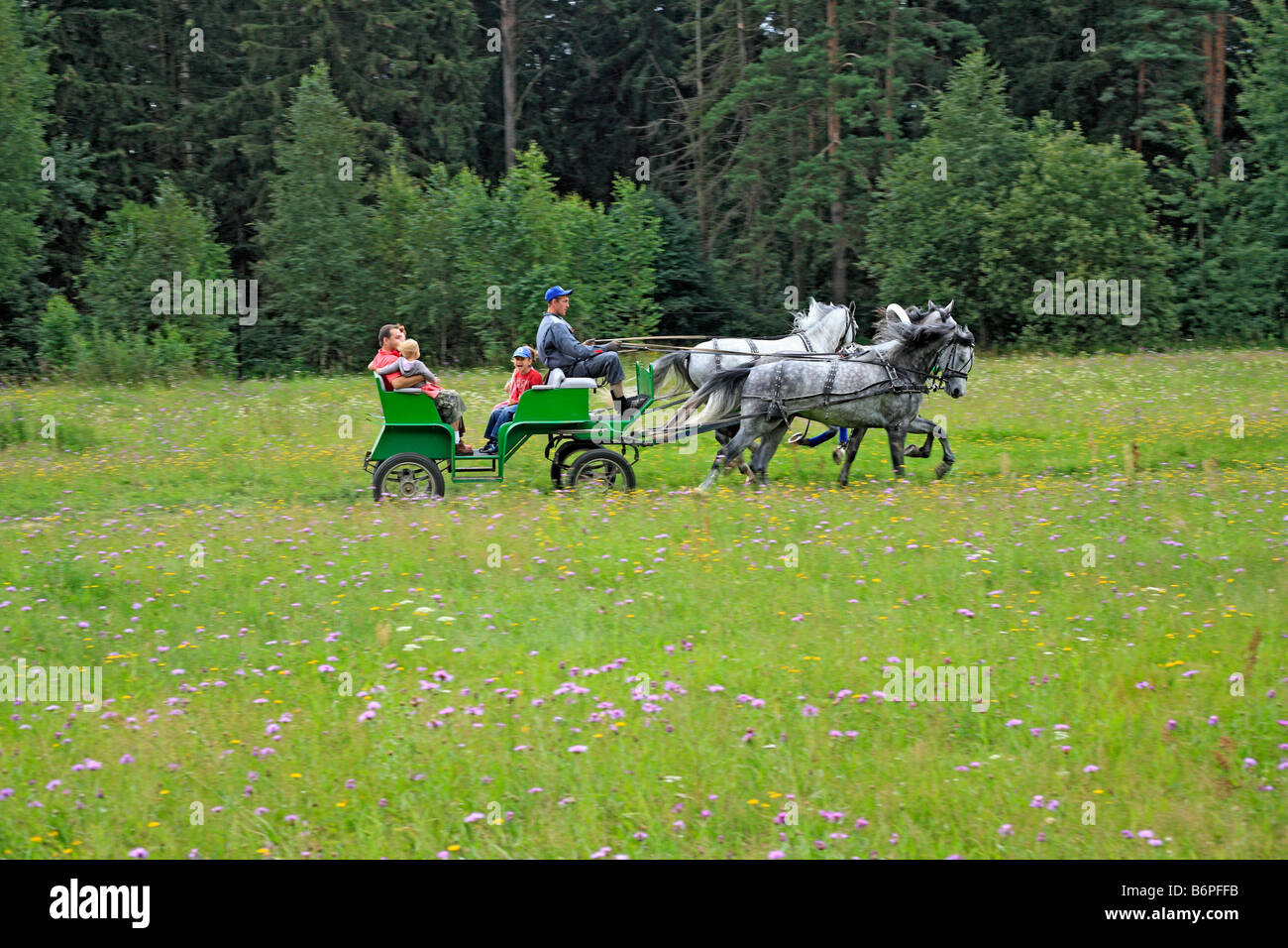 Troïka, Fédération de l'équipe de cheval traditionnelles affaiblies, dans la région de Moscou, Russie Banque D'Images