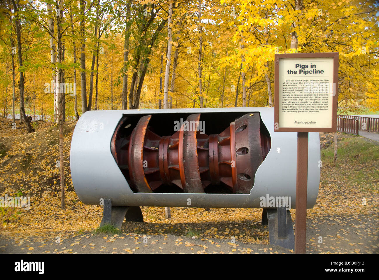 Épurateur cochon affichage à l'Alyeska Pipeline Visitor Centre à Fairbanks, Alaska Banque D'Images