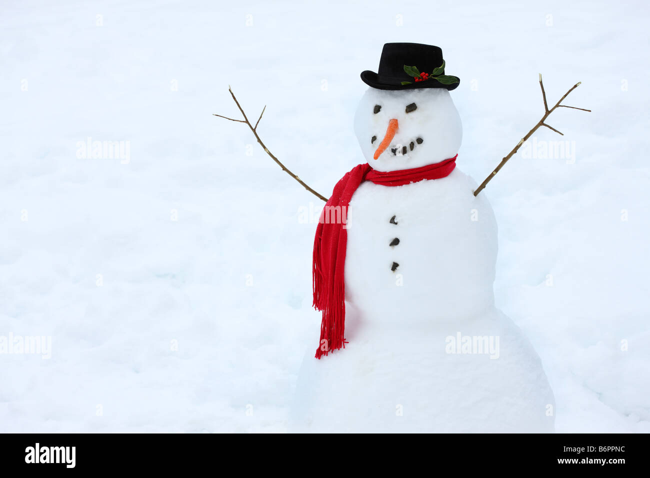 Bonhomme Hiver avec red scarf hat et nez carotte Banque D'Images