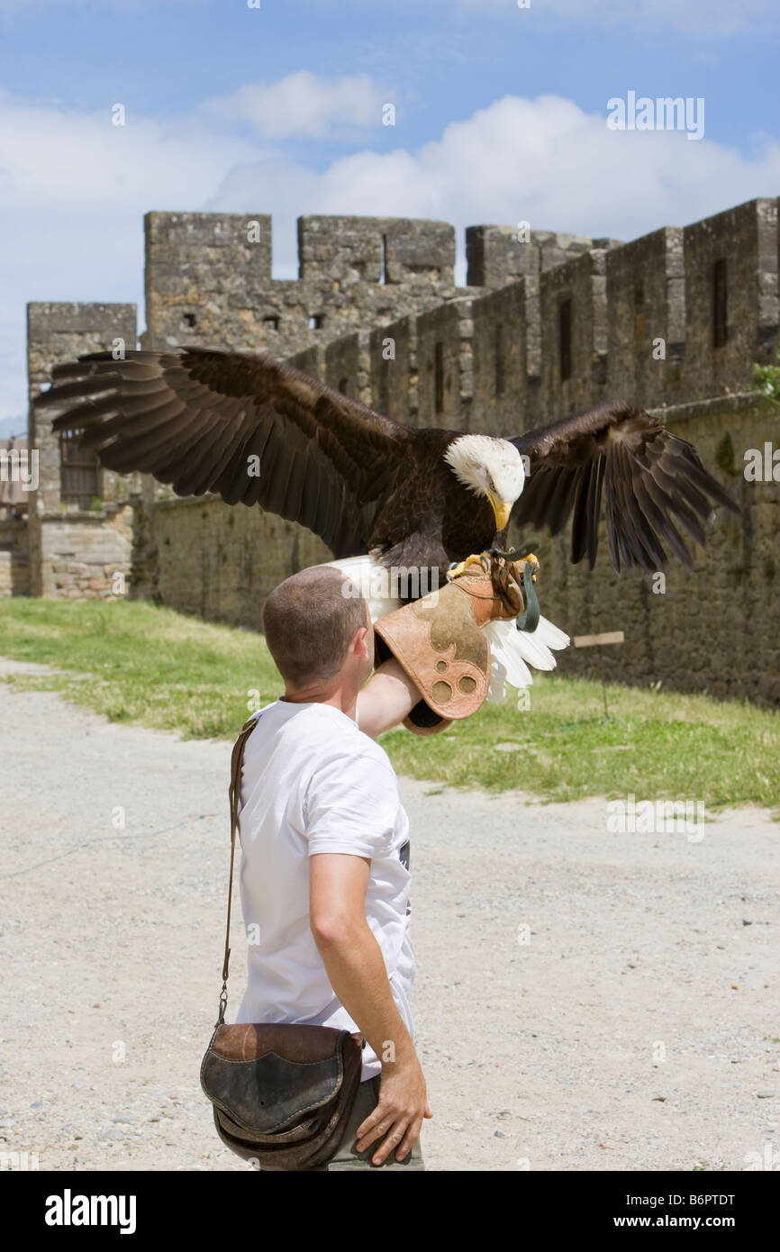 Un aigle et gestionnaire d'oiseaux pour la pratique de jeux médiévaux à Carcassonne France Banque D'Images