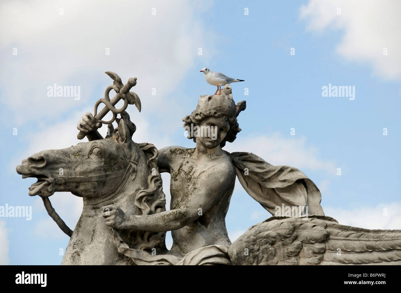 Statue équestre . Place de la Concorde. Paris. France Banque D'Images