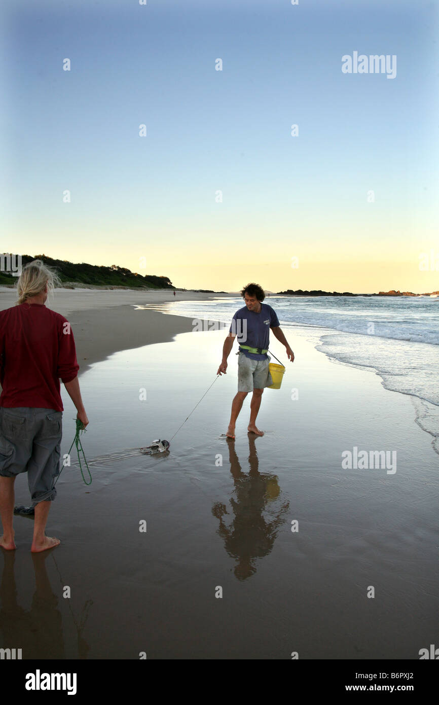 Un pêcheur tire un ver de plage de la plage Crescent Head près de l'Australie Banque D'Images