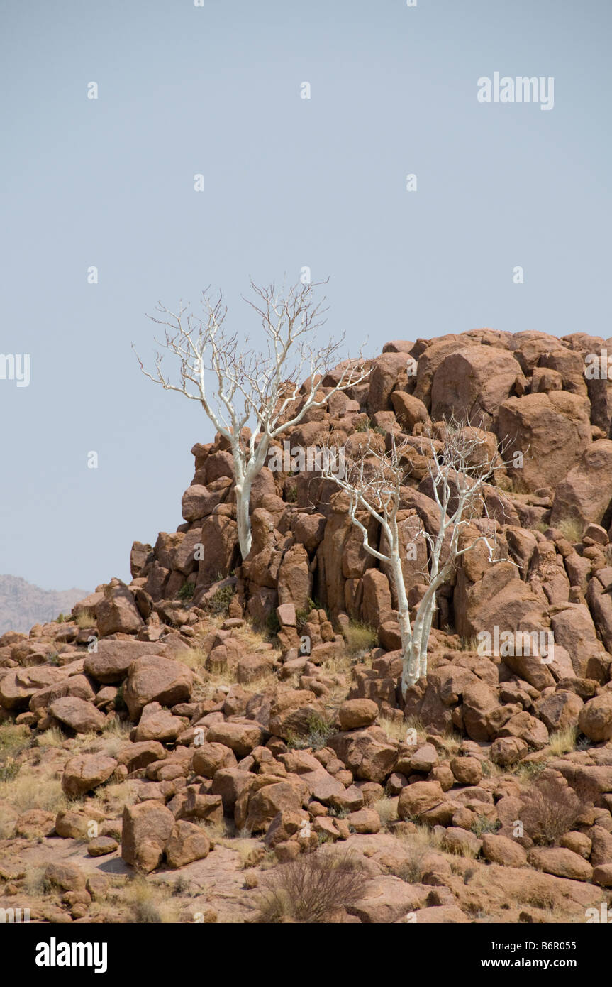 Western Damaraland, Namibie, Afrique, SW Namib Banque D'Images