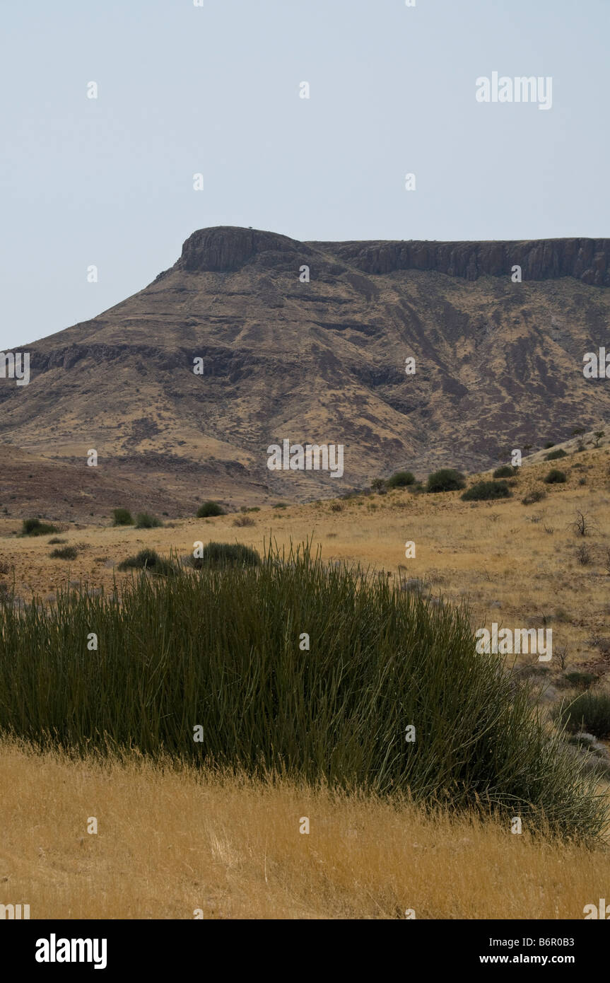 Western Damaraland, Namibie, Afrique, SW Namib Banque D'Images