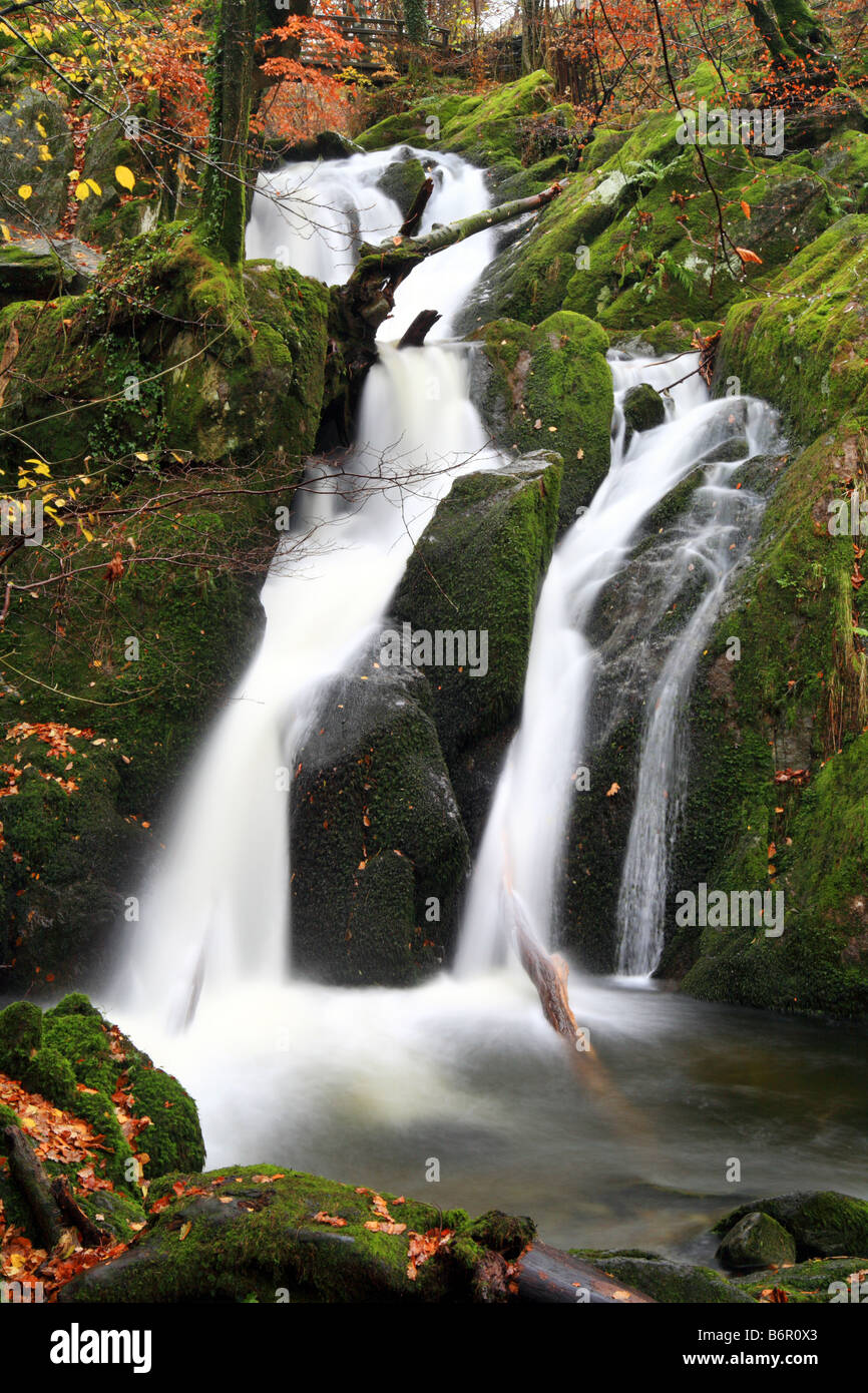 Tockghyll 'force' Cascade, près de Ambleside, Lake District, Cumbria. Banque D'Images