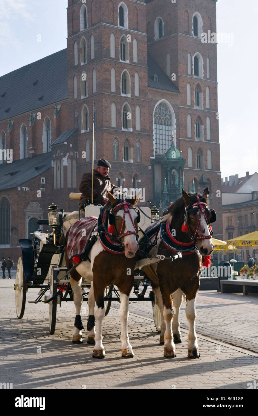 Transport de chevaux et de l'église St Mary Krakow Pologne Banque D'Images