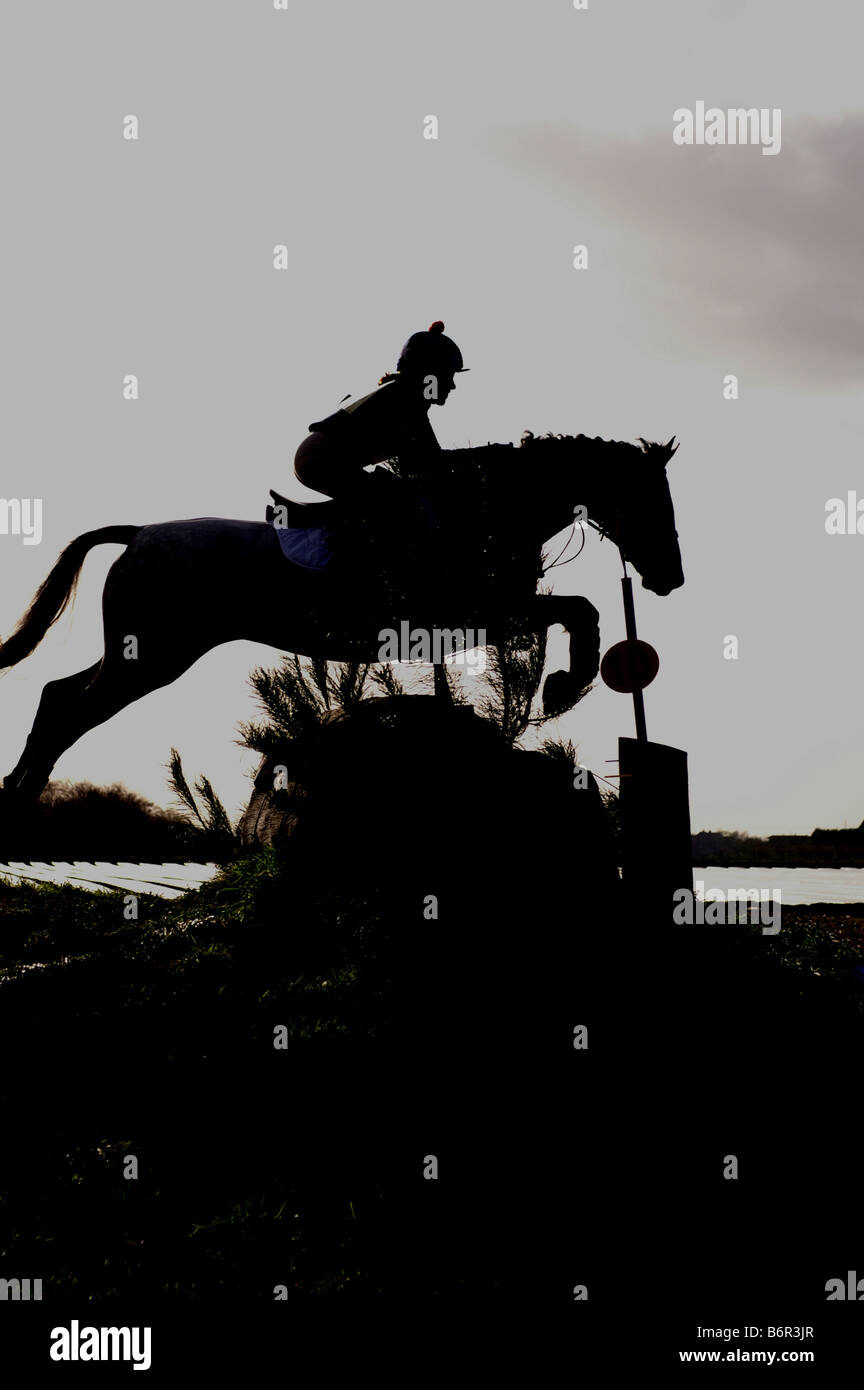 Saut à cheval et cavalier rétroéclairé cross country fence Banque D'Images