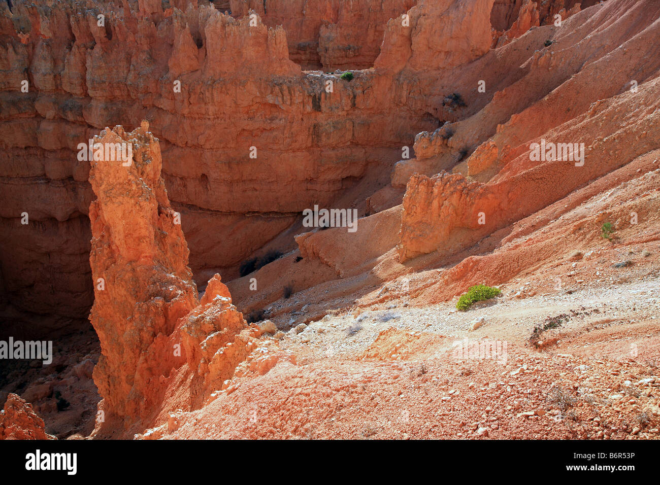 Spires à Bryce National Park Banque D'Images