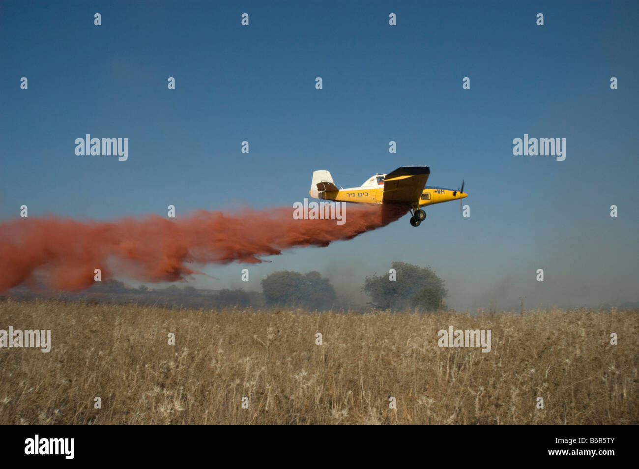 Israël Haifa Carmel Mountain Forest avion tomber sur un feu de forêt Banque D'Images