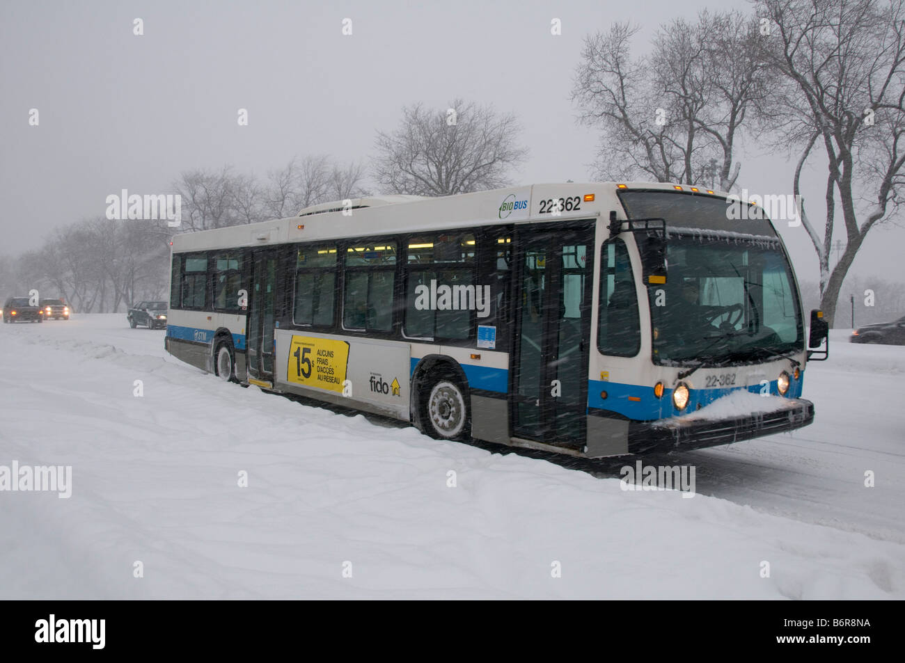 Bus sur Park Avenue Montréal Canada Banque D'Images