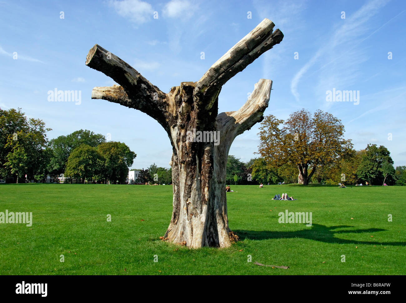 Arbre mort sculpture, parc public, London Photo Stock - Alamy